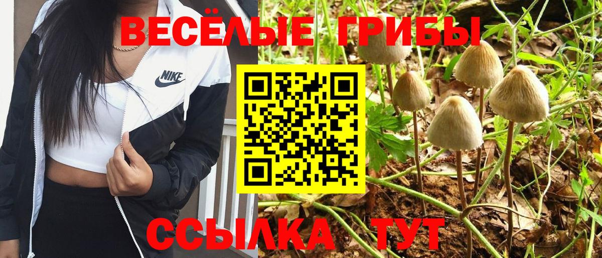 Галлюциногенные грибы прущие грибы Бор